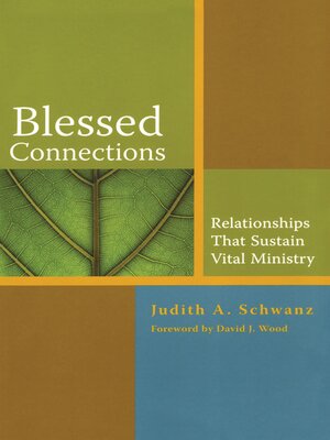cover image of Blessed Connections